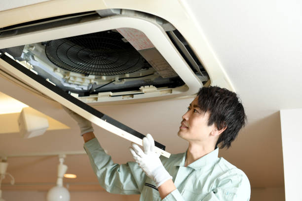Best Air Vent Cleaning Services  in Camden, AL