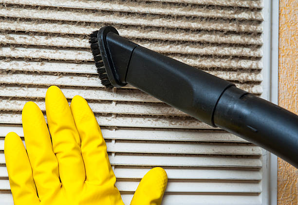 Best Air Duct Cleaning Near Me  in Camden, AL